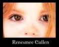 /album/fotogaleria-renesmee-cullen/hell-jpg1/